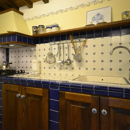 Valentino * 哥尔顿